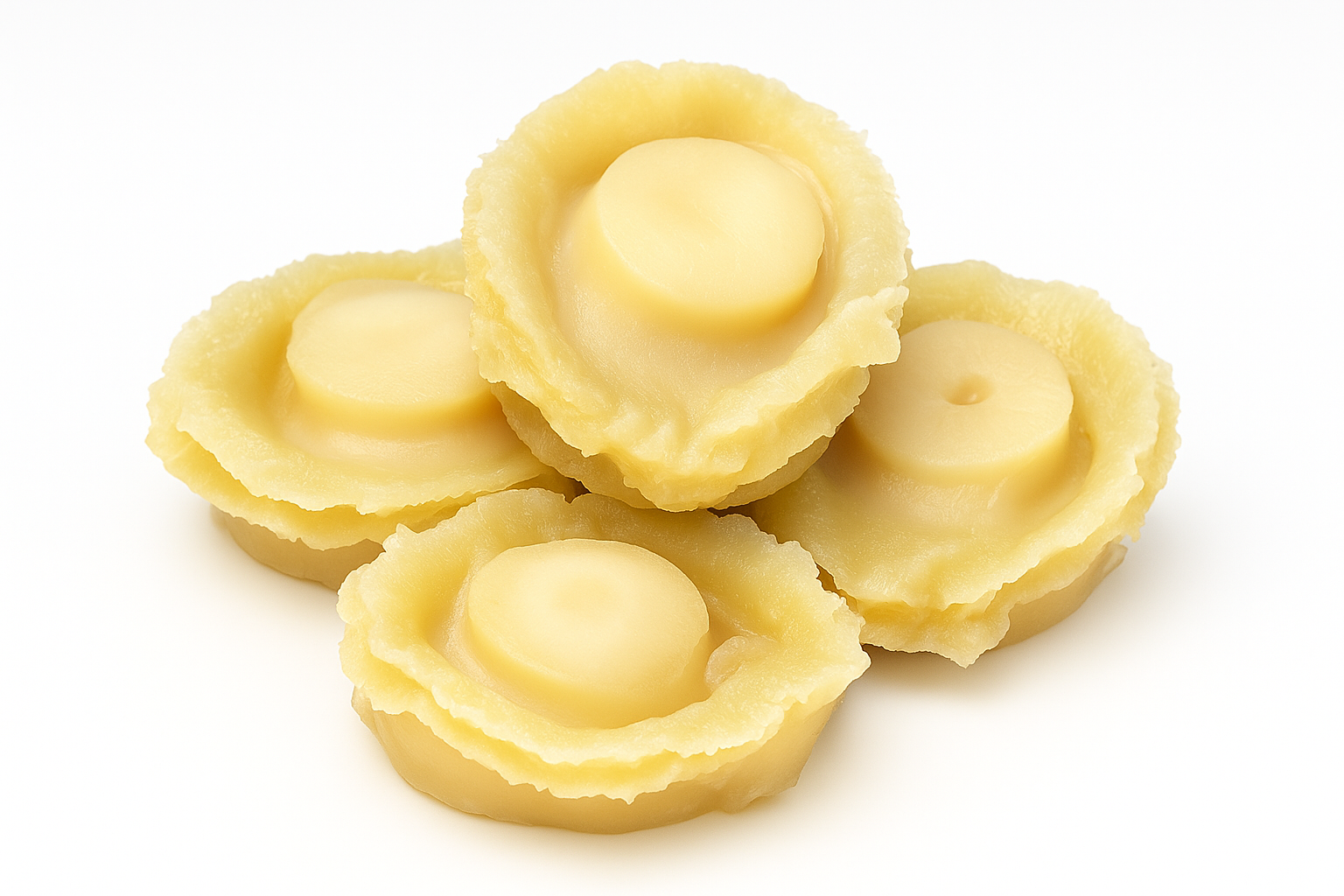 RICOGEL 84894 for Plant-based Abalone